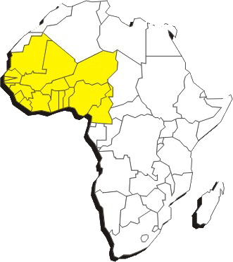 westafrika